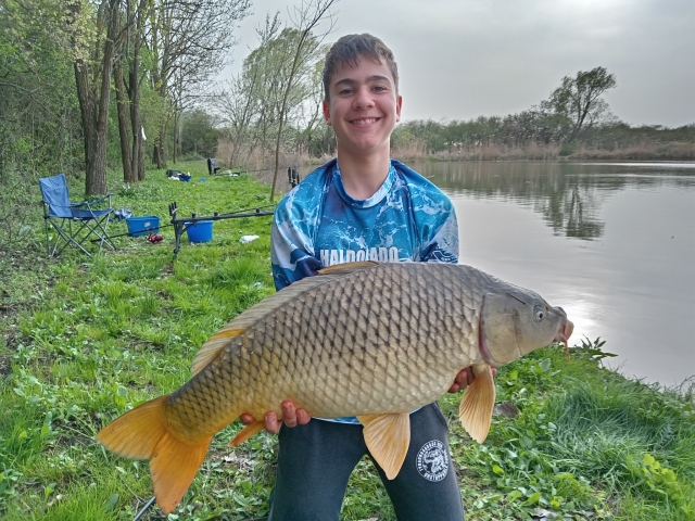 12kg
