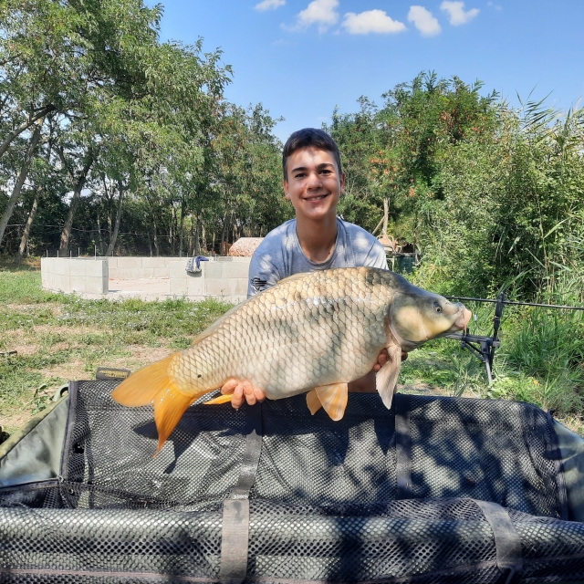 14kg
