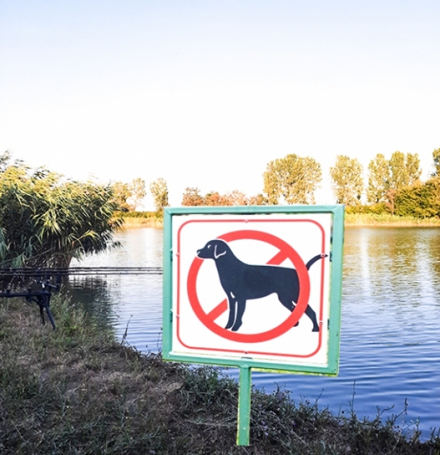 A Tó területére háziállatot-kutyát bevinni Tilos!